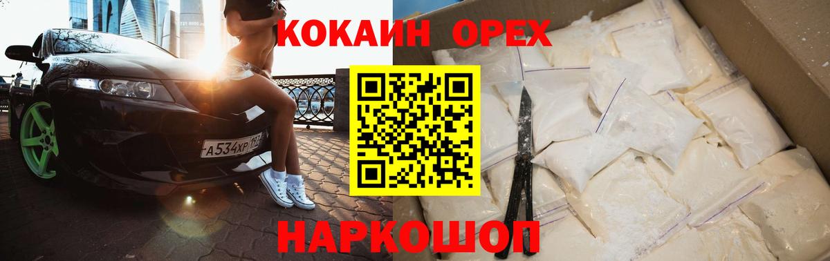 Галлюциногенные грибы Зима