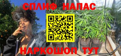прущие грибы Беслан