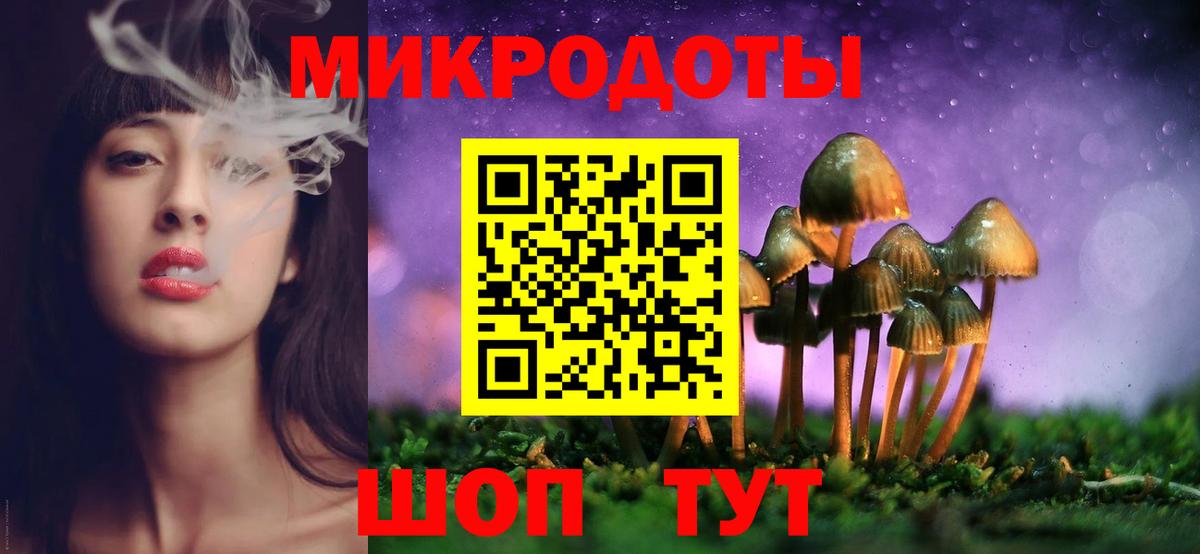 Зима  Галлюциногенные грибы прущие грибы  Вход с VPN  Псилоцибиновые грибы Psilocybine cubensis 