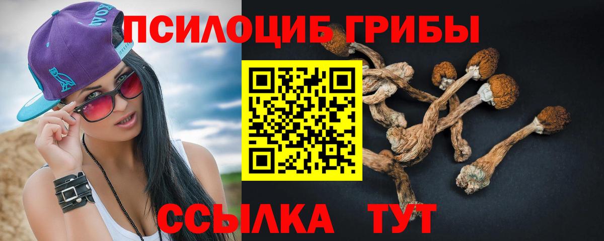 Псилоцибиновые грибы MAGIC MUSHROOMS Зима