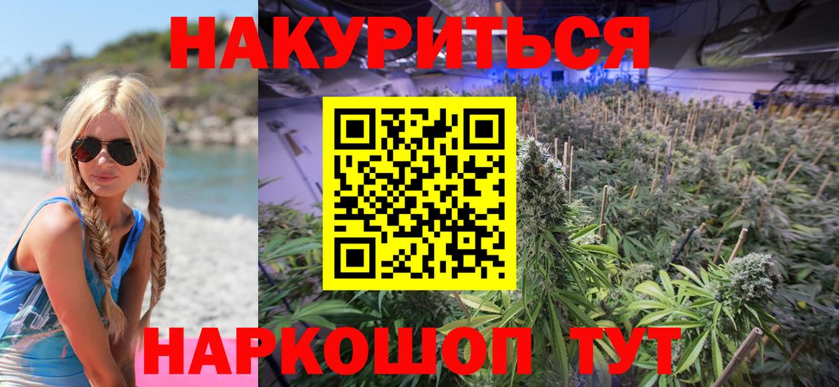Канабис MAZAR Зима
